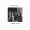 Tony Molina - Aye Aye My My (Into the Fade)