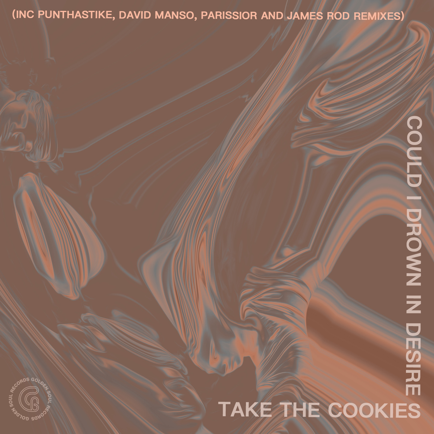 Take The Cookies - Could I Drown in Your Desire