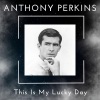 anthony perkins《The More I See You》[MP3/LRC]