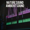 Nature Sound - Ambient Sound