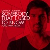 João Faria、Gotye - Somebody That I Used To Know (João Faria Remix)