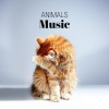 Relax & Chill - Awakening Birds 1