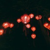 小vie、羽祭小兔 - 伊人何时归
