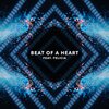 The Sinus Sound Ensemble - Beat of a Heart