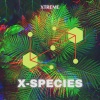 Xtreme《SPECTACULAR (Original Mix)》[MP3/LRC]