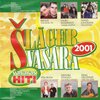 Harijs Joniškāns - Saulespuķe
