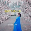 沧海哥哥《梨花飞情人泪》[MP3/LRC]