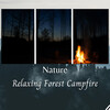 The Forest Escape、RelaxMyCat、Spa Treatment - Nature: Relaxing Forest Campfire - 2 Hours
