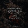 Jazz Para Crianças、Musica Relaxante、Academia de Relaxamento e Meditação - Tiempo En La Montaña
