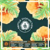 Misingo、Doorly、Colour Castle - Jaspers Keys (TAYA. Remix)