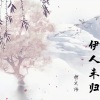 柳文浩 - 伊人未归