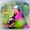 高音敏子 - 梦里瑶乡 (DJ版)