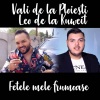 Vali de la Ploiesti、Leo De La Kuweit - Fetele mele frumoase