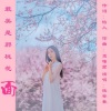 玉梅君、若瑜 - 最美是那桃花面