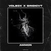 VOLB3X、SINDICVT - Ammon