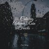 Sleepy Times、Yoga Trainer、Nature Sounds for Relaxation and Sleep - Traffic Rain
