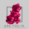 Fancy Folks、Mónica Naranjo - Are You in (feat. Adriana Lucia)