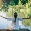 Yoga Meditation Guru、Calm Music Masters - Sublime Space