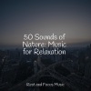Música para Relaxar Maestro、Musica Relaxante、Mindfulness Mediation World - Soothing Summer