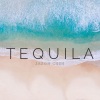 Jason Chen - Tequila