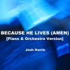 josh harris《Because He Lives (Amen)(Piano & Orchestra Version)》[MP3/LRC]