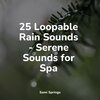 Smart Baby Lullaby、Sleep Sounds Rain、nature & Sounds Background - Rainy Sunrise Forest Ambience