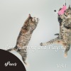 Binaural Boy、Music for Calming Dogs、Cat Music Dreams - Hair of the Dog