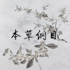 张苏皖 - 本草纲目