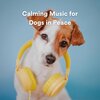 Music for Leaving Dogs Home Alone - Calming Music for Dogs in Peace, Pt. 1
