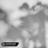 Michelle Ray、Lost.、Lauren Eve Mayberry、Pop Mage、Martin Clifford Doherty、Iain Andrew Cook - The Mother We Share