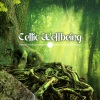 Calm Music Masters Relaxation、Relaxing Nature Sounds Collection《Relaxing Celtic Music》[MP3/LRC]