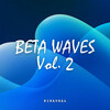 Binaural Shapers、Binaural Boy、Binaural Guidance - Serene Fulmination