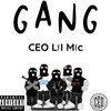 CEO Lil Mic - Gang (Explicit)