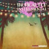 B.A.S.K.O. - Tropical Summer Deep House