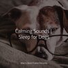 Calming Music for Dogs、Music For Dogs Peace、Official Pet Care Collection - Starting Today