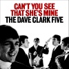 The Dave Clark Five - Can't You See That She's Mine