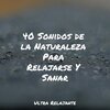 Canciones De Cuna Para Dormir Bebes、Meditación Interna、Meditación Maestro - Brisa Tranquila