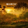 南宫煌琰、青菜 - 雪中悍刀行