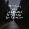 SleepTherapy、Yoga Trainer、Thunder Storms & Rain Sounds - Rainy Ambience