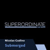 Nicolas Gudino - Wondering
