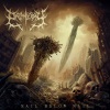 Organectomy - Concrete