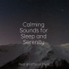 Monarch Baby Lullaby Institute、Mindfulness Mediation World、Academia de Música con Sonidos de la Naturaleza - Soft Wave Movement