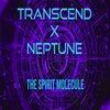 Nigel Neptune、Transcend - The Spirit Molecule (Planet Neptune Recordings Special Remaster)