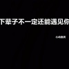 心动嘉宾 - 下辈子不一定还能遇见你 (DJ新版)