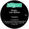 Stoim、Lee Wilson - Thankful