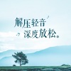 李琴师 - 爱的奉献 (c调)