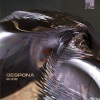 GESPONA、NonReal - Akiris