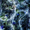 炼金娘、鱼梦 - ninelie