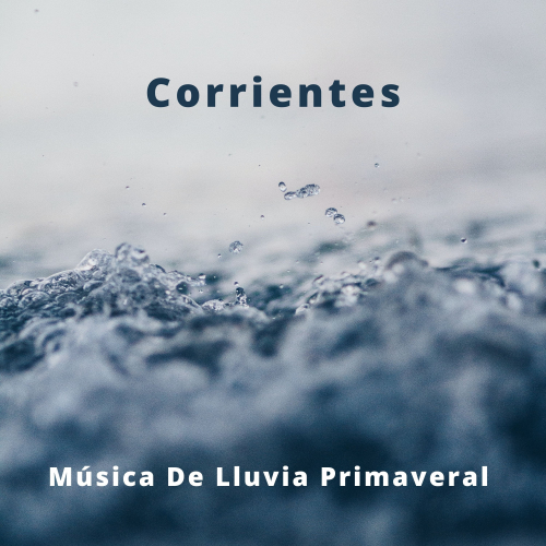 Sonidos de Lluvia y Viento、Tormenta Jamaicana、Lluvia para un sueño profundo - Sonidos De La Música Del Bosque