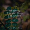 Yoga Workout Music、Relaxing Music Therapy、White Noise For Baby Sleep - Natural Harmony